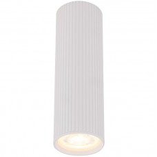 Σποτ Στρογγυλό Οροφής 17cm Σταθερό με ντουί GU10 Λευκό TUNE 10025-E